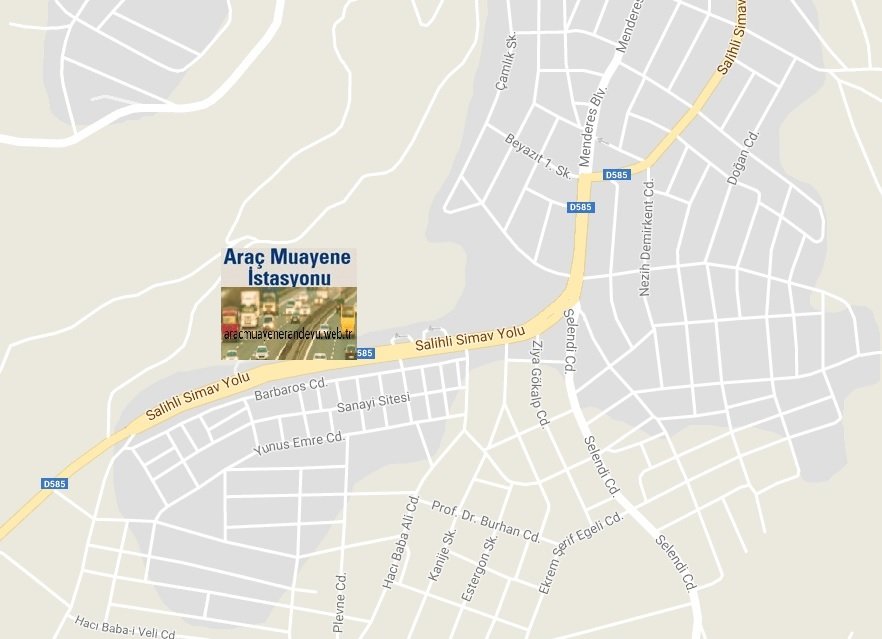 manisa demirci araç muayene istasyonu randevu